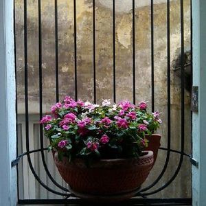 Meet your Posher, Joann